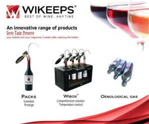 Wikeeps Découvrez la meilleure alternative pour conserver votre vin